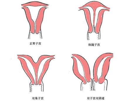 子宮 同人|為主人檢索到 子宮^